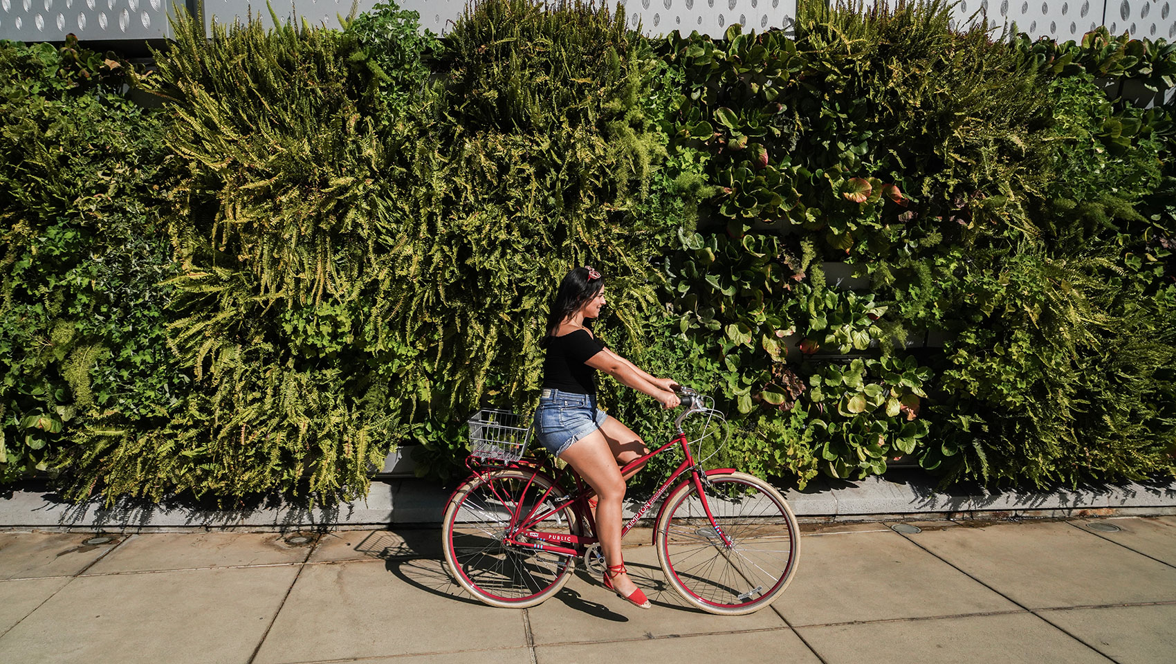 woman riding kimpton bike