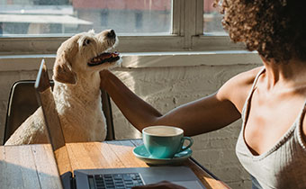 Dog with owner at restaurant