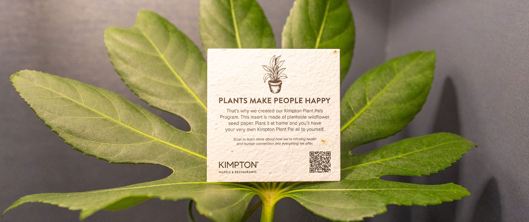 Kimpton plant pals program